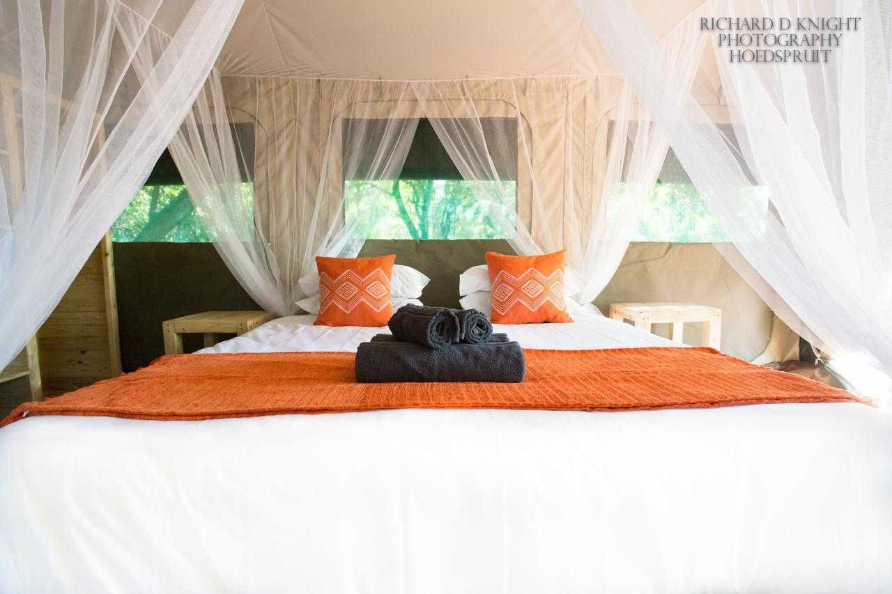 Southern Sands Eco Lodge Hoedspruit Eksteriør billede