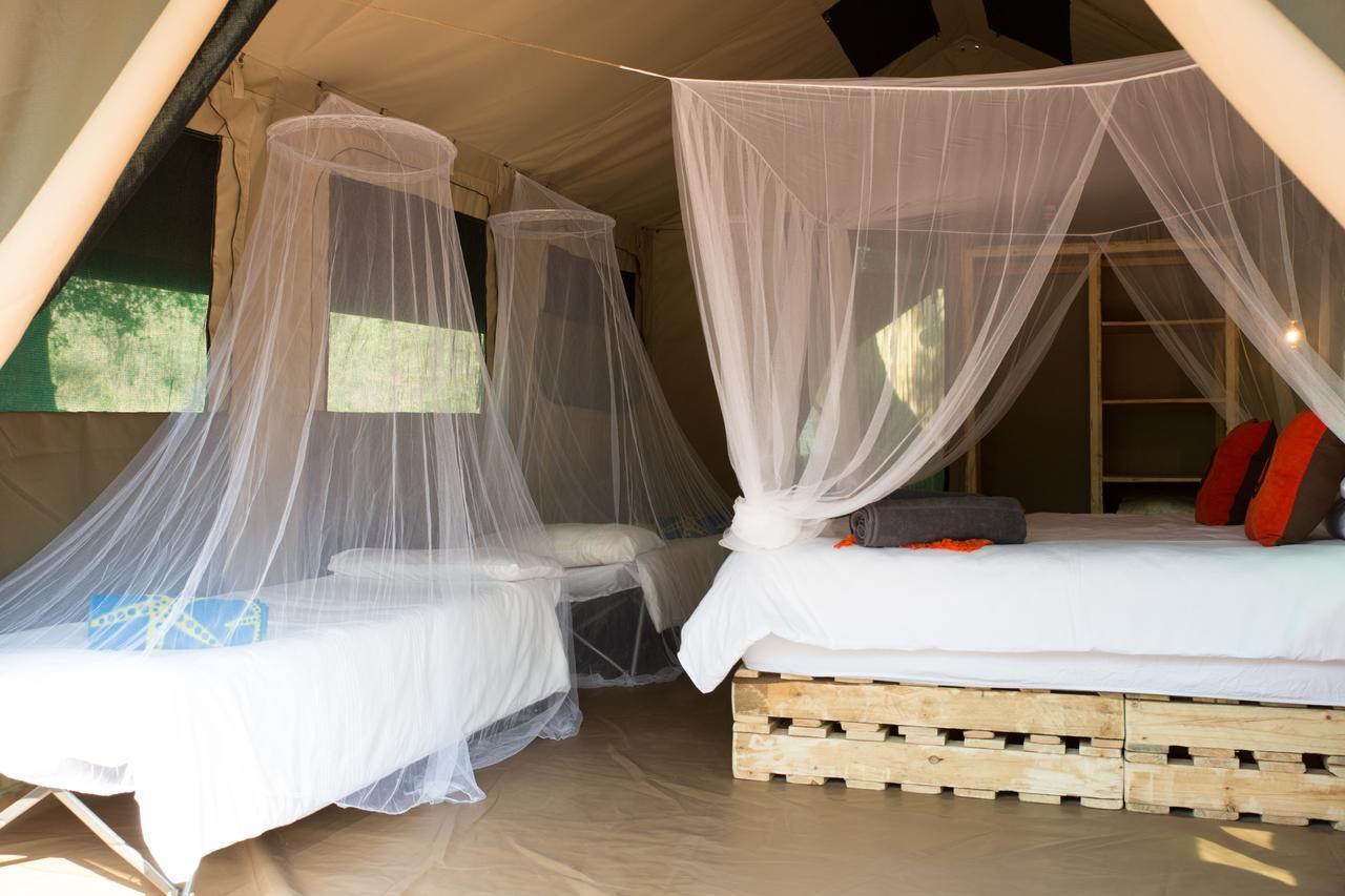 Southern Sands Eco Lodge Hoedspruit Eksteriør billede