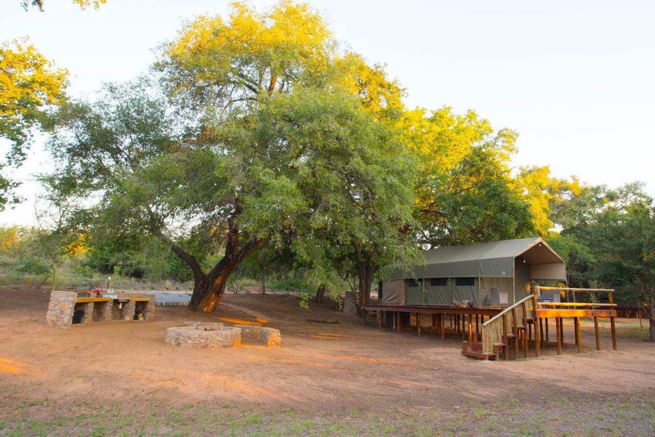 Southern Sands Eco Lodge Hoedspruit Eksteriør billede