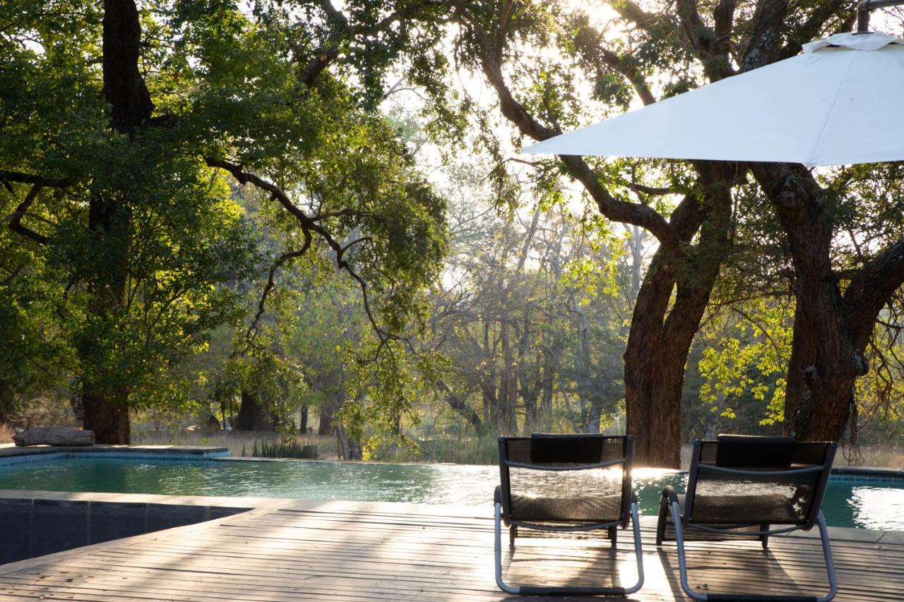 Southern Sands Eco Lodge Hoedspruit Eksteriør billede
